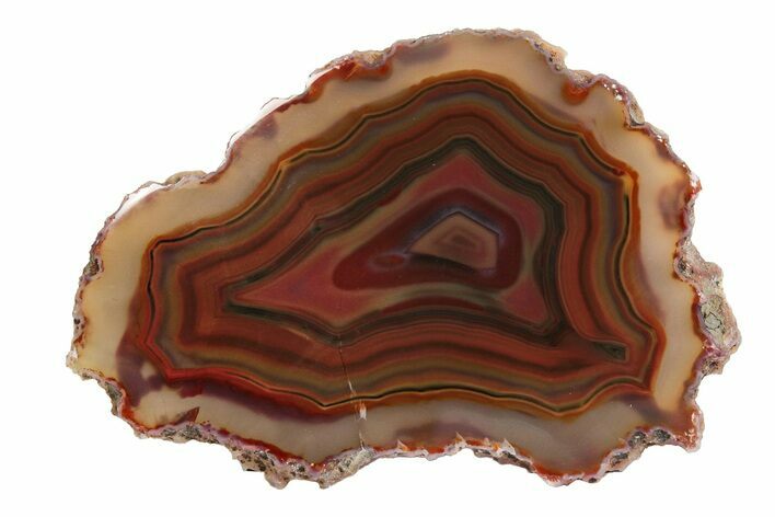 Colorful, Polished Condor Agate Slab - Argentina #193161